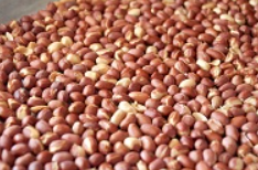 வேர்க்கடலை (peanut)- Roosted